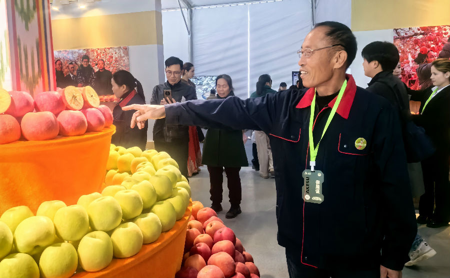 阿克苏地区丰庆园果品农民专业合作社理事长杜民超介绍苹果种植提高品质等情况(查燕荣 摄) 阿克苏地区丰庆园果品农民专业合作社理事长杜民超介绍苹果种植提高品质等情况(查燕荣 摄)