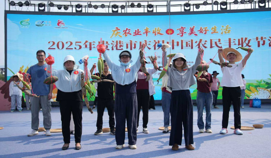 丰收节活动现场（徐丽娜 摄）