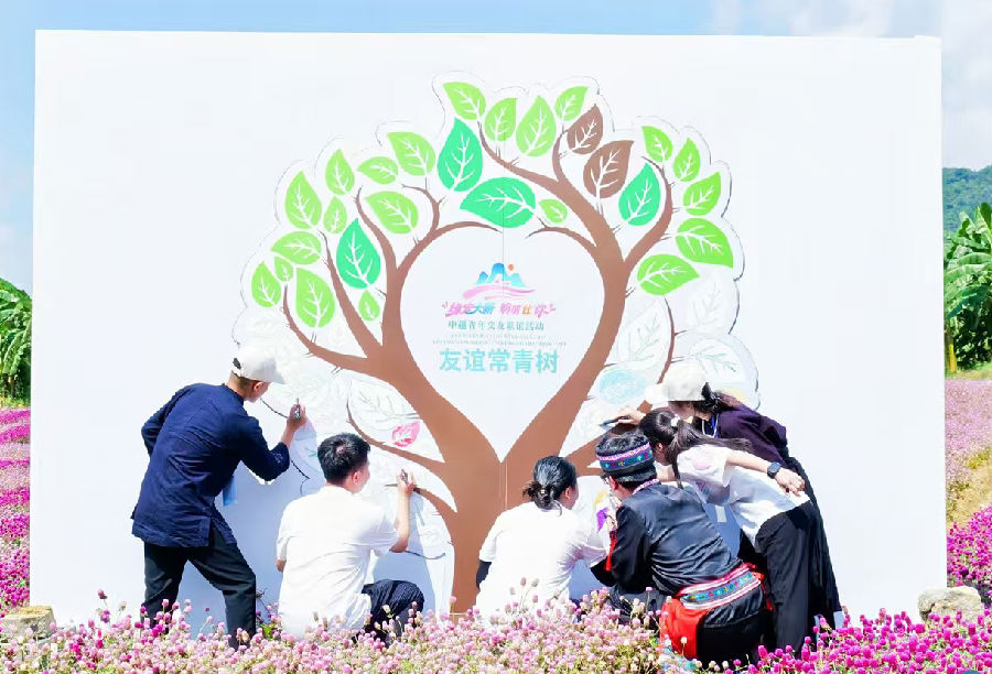 中越青年绘制“友谊常青树”（韩睿琦 摄）