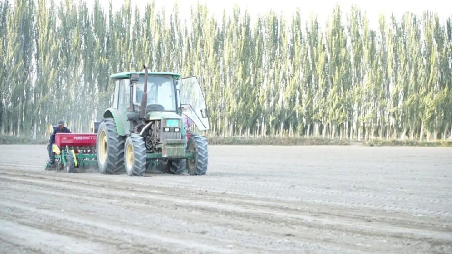 村民们正用播种机播种冬小麦（张勇 摄）