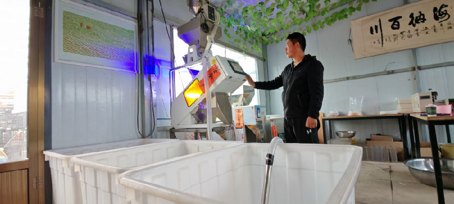 工作人员操作智能分选设备（杨润德 摄）