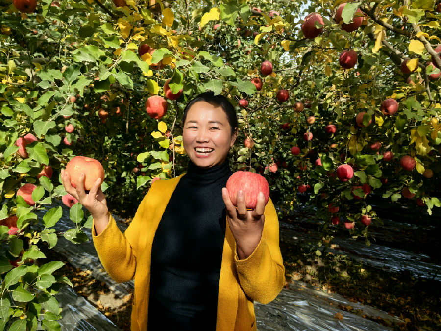 王云芝展示阿克苏苹果（查燕荣 摄）