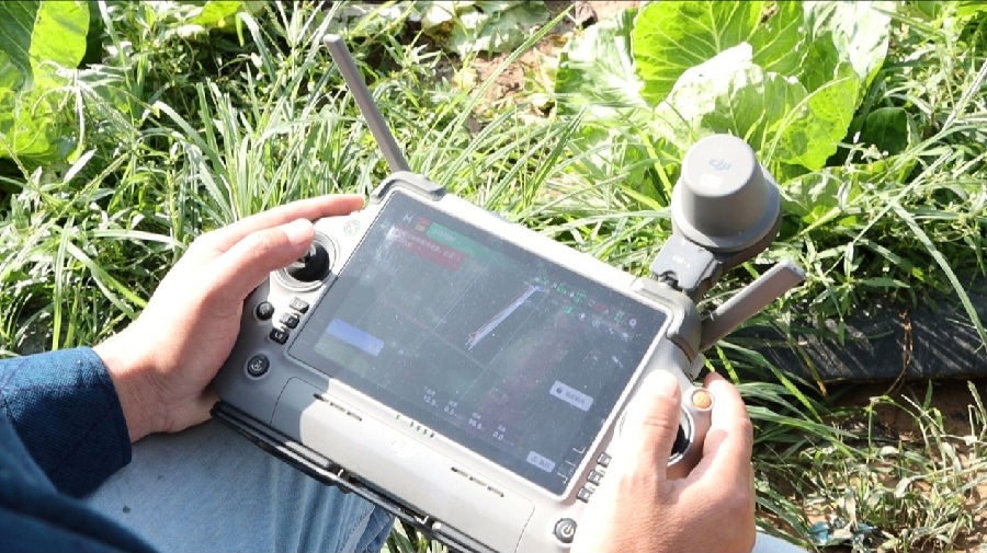 遥控指挥（韩春 摄）