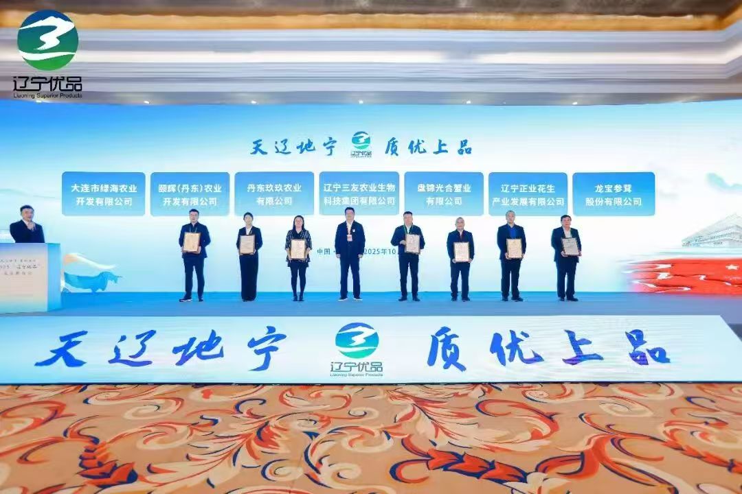 活动现场（邓钦予 摄）