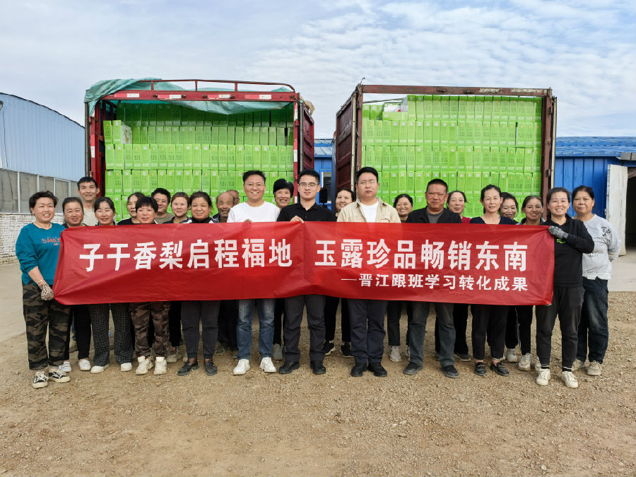 子干香梨启程福地（贺晓伟 摄）