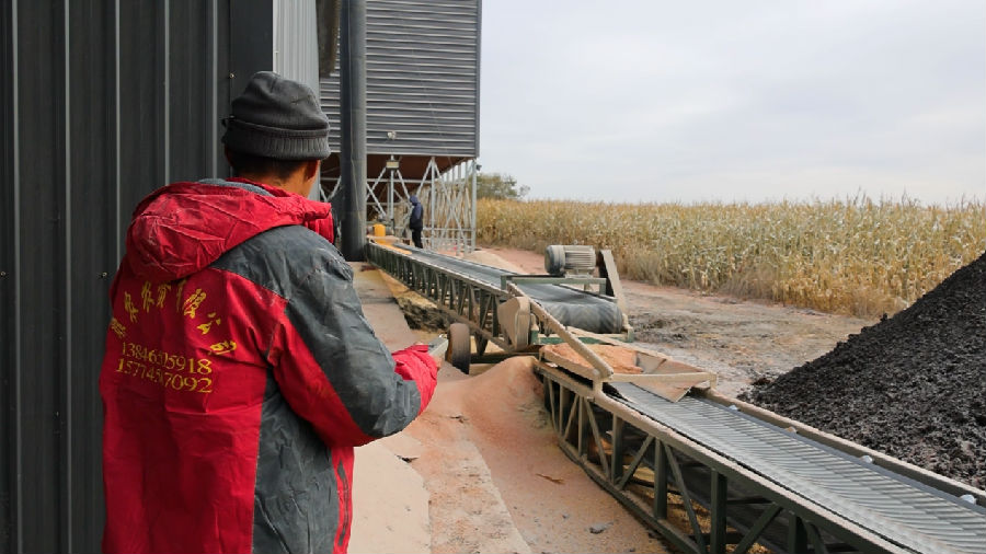 黑河市爱辉区坤河乡益海农业种植专业合作社工人操控输送带系统运输干粮（敬斌 摄）