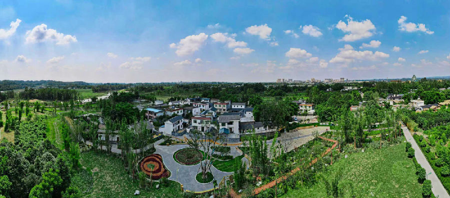 青竹街道兰沟村竹里巷子（陈甜 摄）