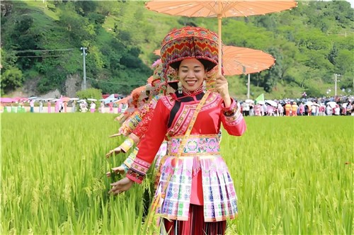 新庄村水稻文化节（李自林 摄）