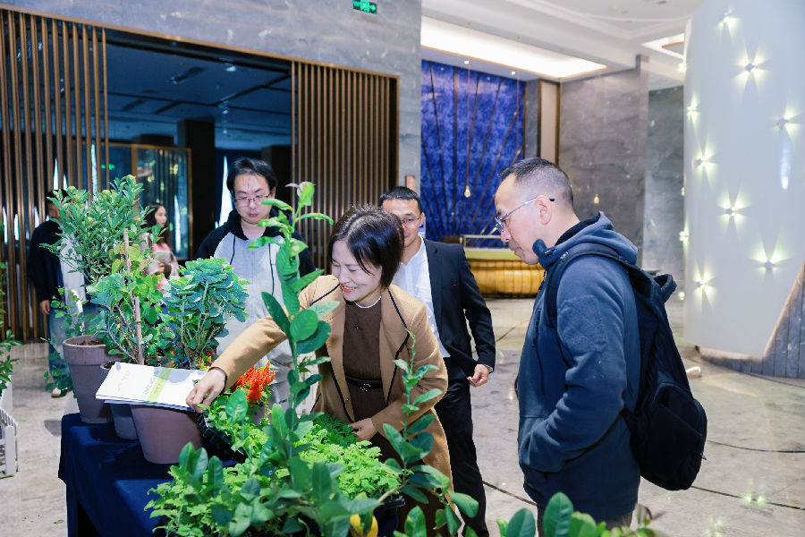 活动现场（温蓉 摄）