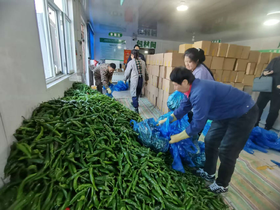 忙碌的车间（刘尧 摄）