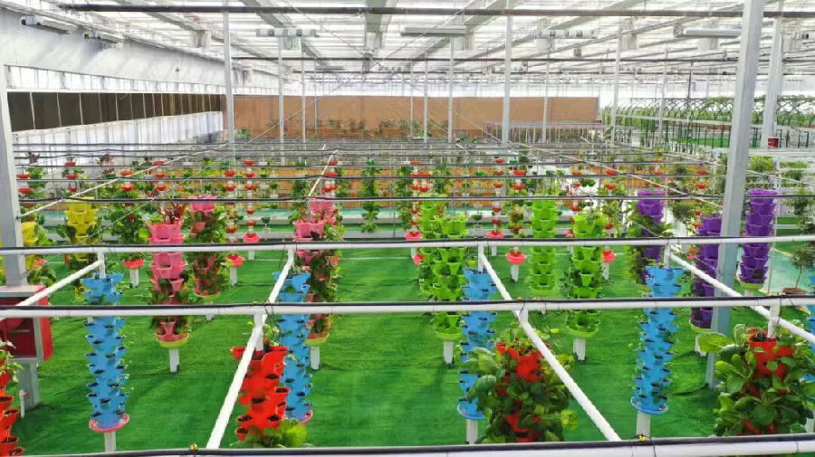 柯坪县绿色戈壁设施农业产业园（艾热提·加沙热提 摄）