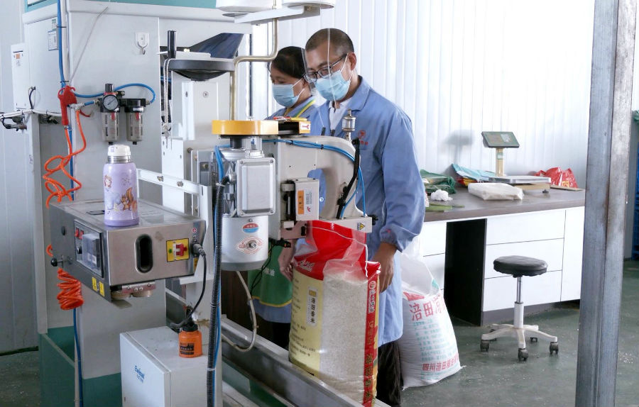 生产现场（冉金鹭 摄）