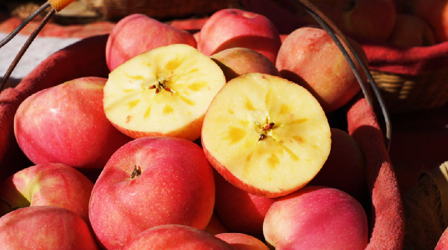 冰糖心苹果（刘鑫 摄）