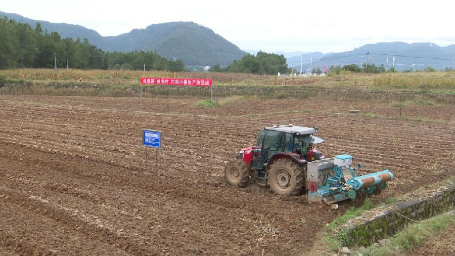 进行农机收割演示（张苗 摄）