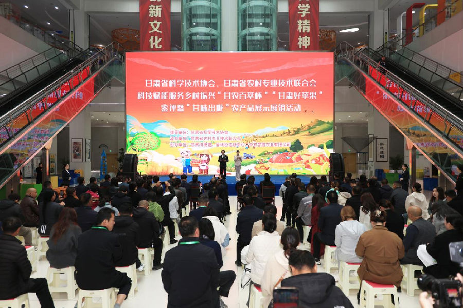 活动现场（武文宣 摄）