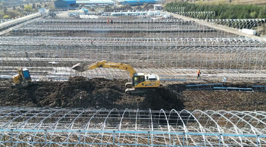 智慧农业示范基地项目现场(钟林 摄) 智慧农业示范基地项目现场(钟林 摄)