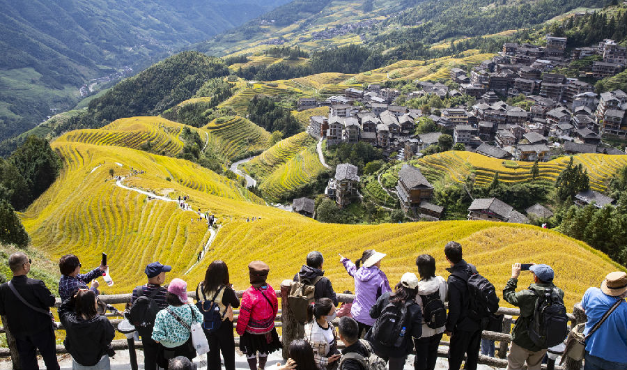 10月21日，中外游客在龙脊梯田游览。（伍文悄 摄）