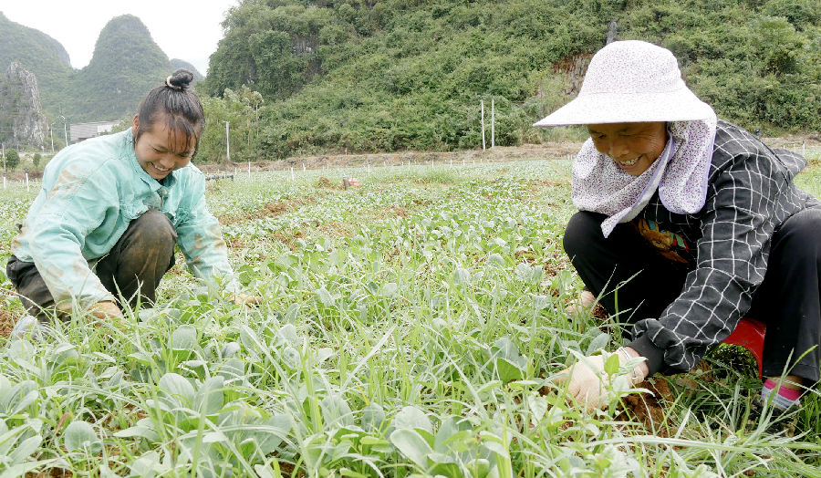 村民在基地务工增收（陶胜平 摄）