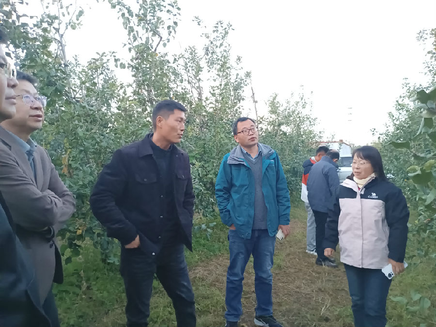 专家们针对果园问题进行交流（蔡雨欣 摄）