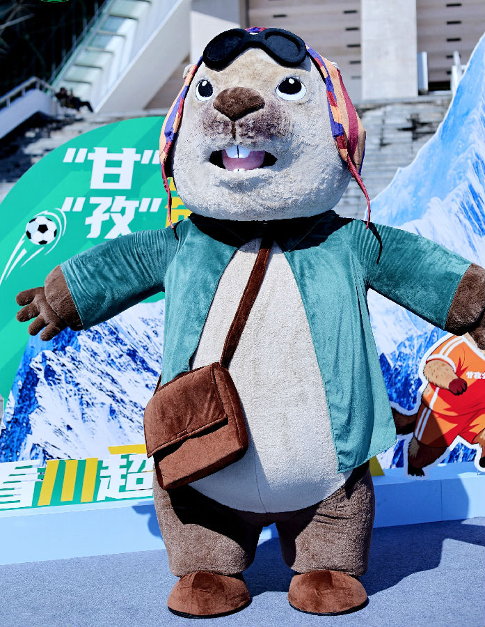 高原土拨鼠和雪域雪豹“萌宠搭档”（向宾 摄）