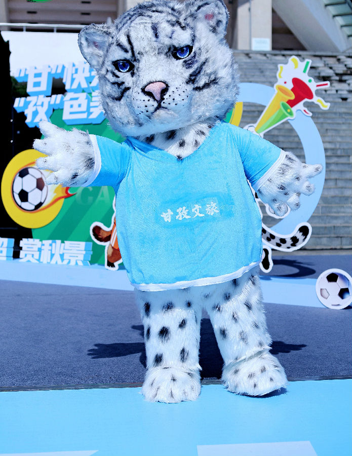 高原土拨鼠和雪域雪豹“萌宠搭档”（向宾 摄）