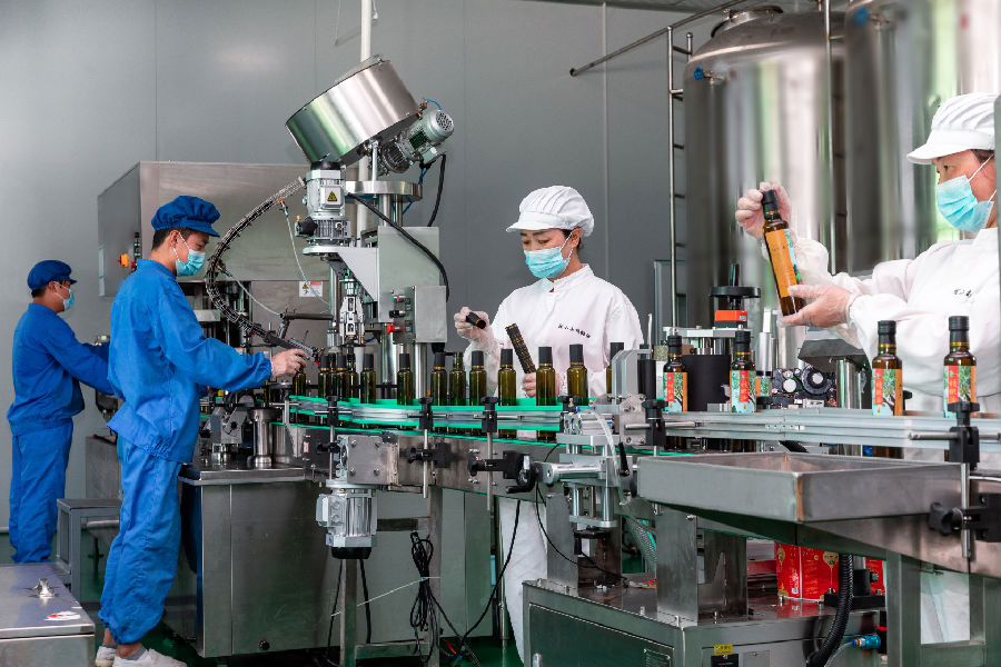 甘肃陇小南生态农业发展有限公司工人正在生产核桃油（韩永强 摄）