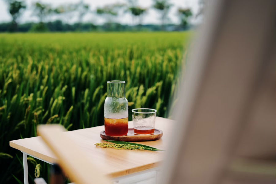 千灯镇以农文旅融合为抓手，大力发展“村咖经济”热门打卡地。（汪宇陆 摄）