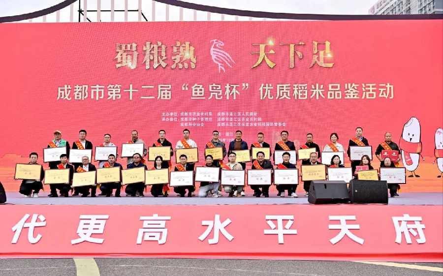 活动现场（文蓉 摄）