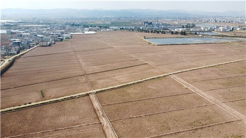 张泗营村高标准农田 （王云民 摄）