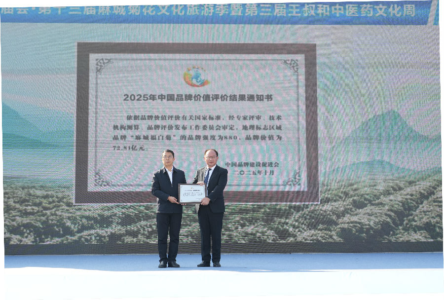 麻城福白菊区域公共品牌的最新评估价值现场发布会（陈楠 摄）