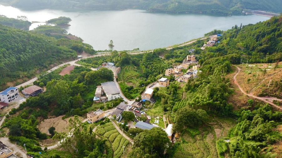 狮南村村貌航拍一角（覃文杰 摄）