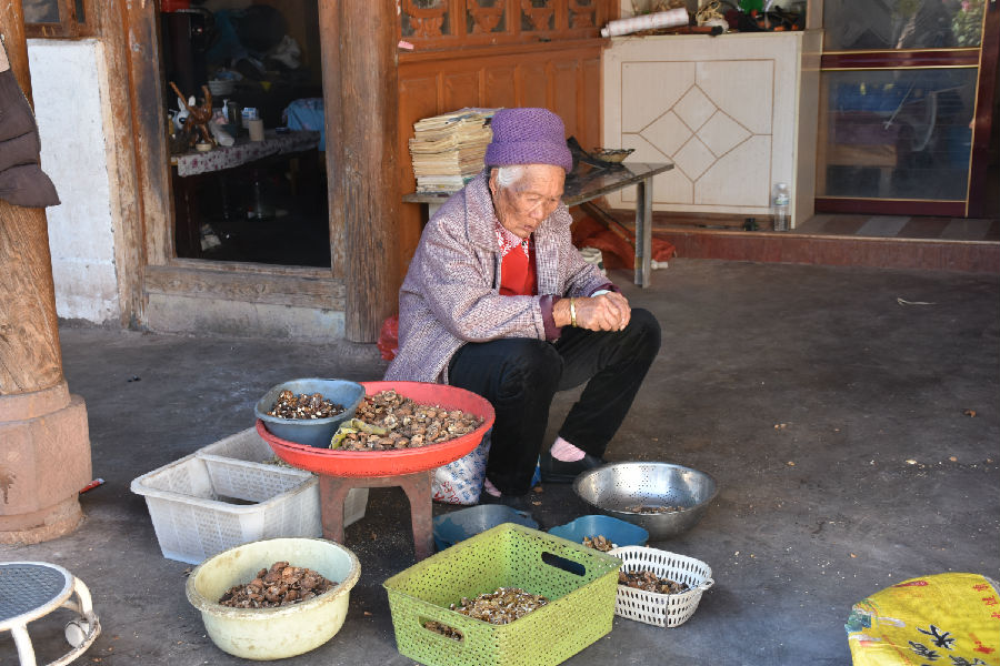 慧明村老年村民正在剥分烘干的核桃（彭艳敏 摄）