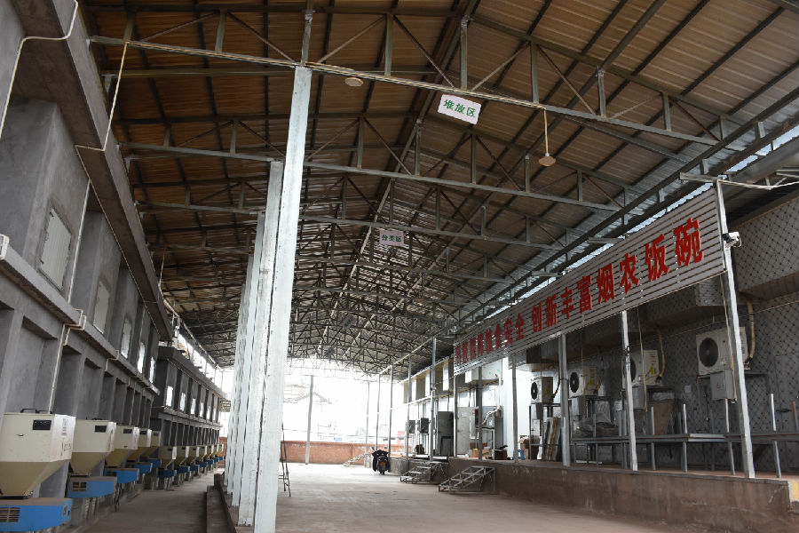 慧明村乡村振兴产业园烤冻一体车间（彭艳敏 摄）