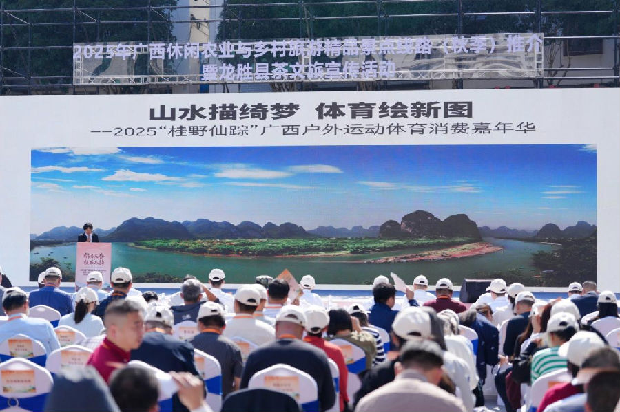 推介会现场 （陈佑 摄）