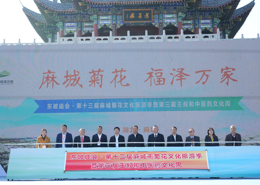 开幕式启动仪式现场（陈楠 摄）