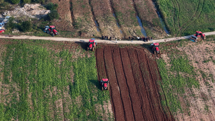 掇刀区麻城镇斗立村农户们正在用大型农机抢播油菜（蔡丹丹 摄）