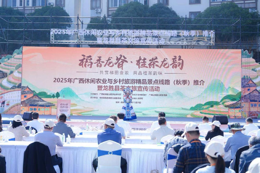 推介会现场 （陈佑 摄）