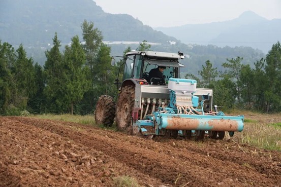机械化播种（张俊 摄）