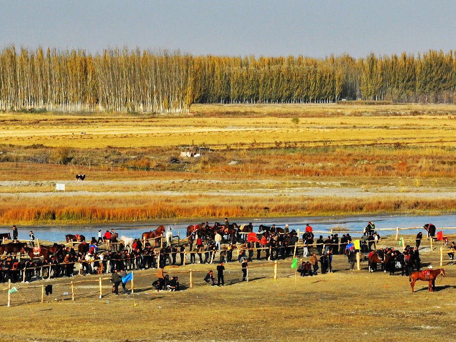 11月1日,在温宿县恰格拉克乡喀拉都维村库托草原上,当地村民和游客观看赛马比赛。(赵新昌 摄) 11月1日,在温宿县恰格拉克乡喀拉都维村库托草原上,当地村民和游客观看赛马比赛。(赵新昌 摄)