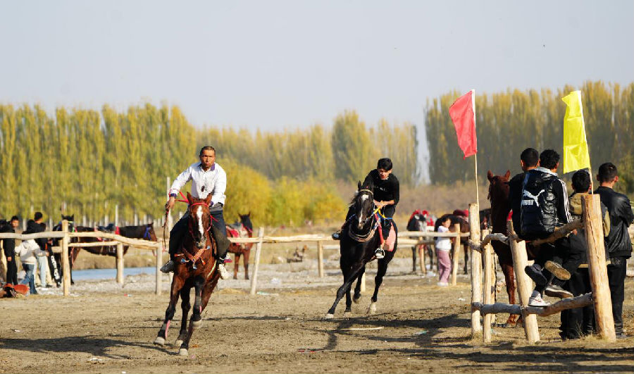 11月1日,在温宿县恰格拉克乡喀拉都维村库托草原上,来自温宿县及周边县市的骑手参加赛马比赛。(赵新昌 摄) 11月1日,在温宿县恰格拉克乡喀拉都维村库托草原上,来自温宿县及周边县市的骑手参加赛马比赛。(赵新昌 摄)