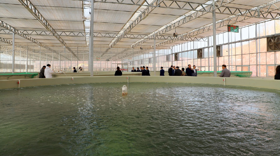 明阳农场现代设施渔业创新示范中心（邓蕾雅 摄）