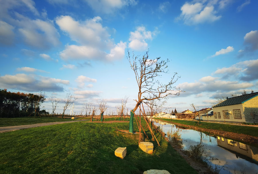 巴斗村广袤的滩涂（董雯瑄 摄）