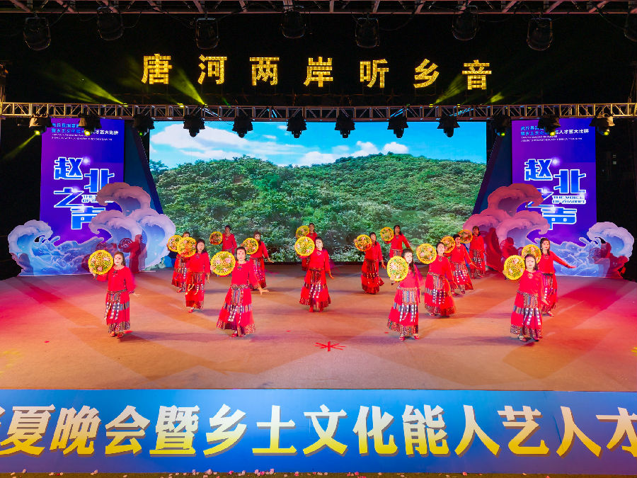 “唐河两岸听乡音”消夏主题晚会（邓立志 摄）