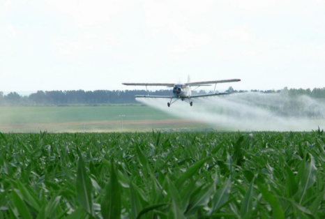 农药喷洒 （王宇 摄）