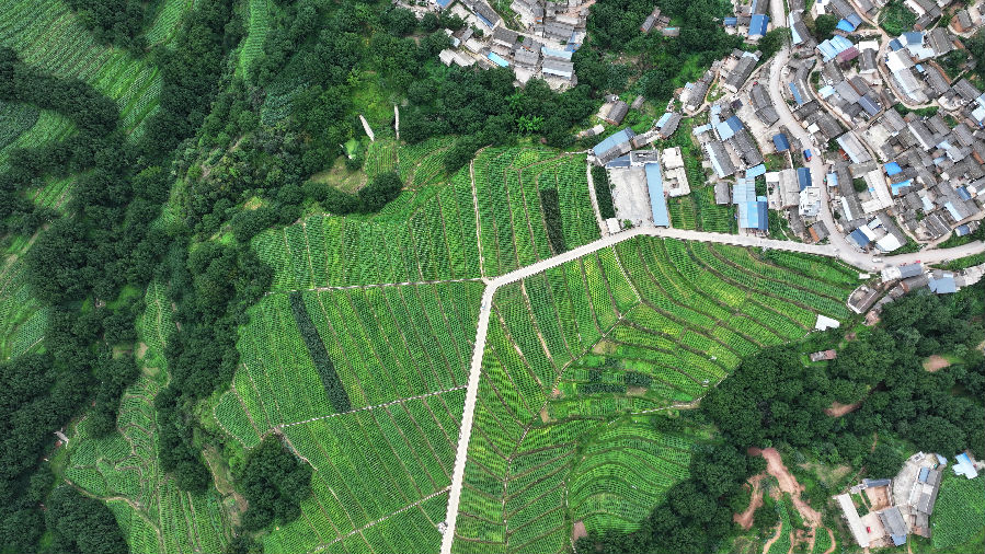 小村鸟瞰（环玲 摄）