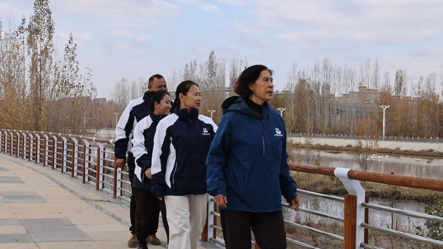 天鹅巡护志愿服务队巡河服务 (朱芹 摄) 天鹅巡护志愿服务队巡河服务 (朱芹 摄)