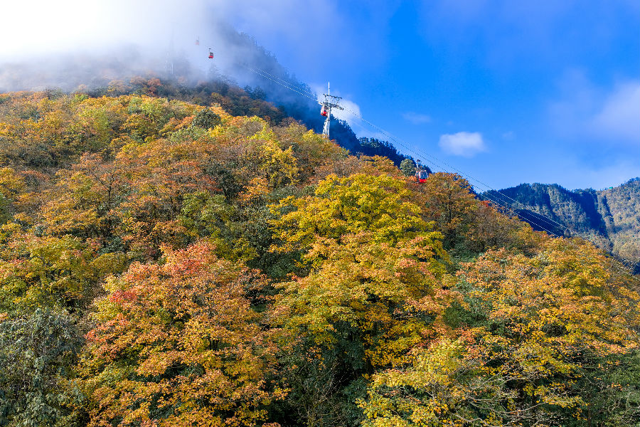 瓦屋山深秋景致（周宇琴 摄）