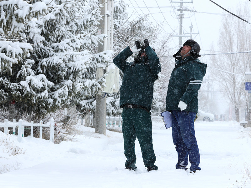 国网伊犁伊河供电公司员工在昭苏县种马场巡视供电线路。(刘显刚 摄) 国网伊犁伊河供电公司员工在昭苏县种马场巡视供电线路。(刘显刚 摄)