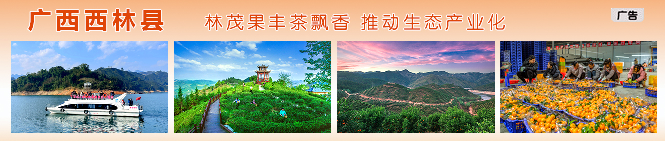 学习贯彻党的二十届四中全会精神