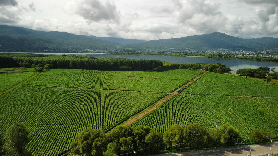 剑湖周边农业区（李得琨 摄）